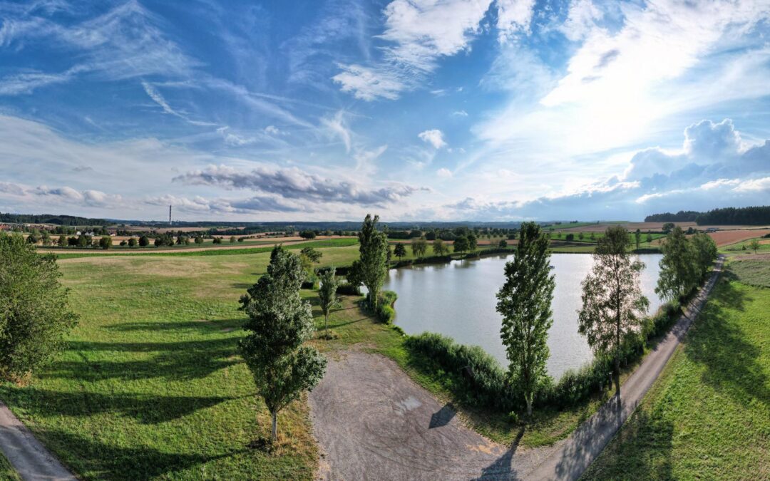 Dietingen Pappelsee von oben