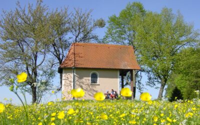 Eine schöne Sommerferienzeit!