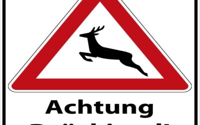 Revierübergreifende Drückjagd
