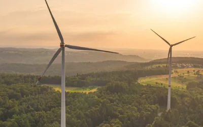 Windpark Dietingen-Ost  //  Projekthomepage jetzt online!