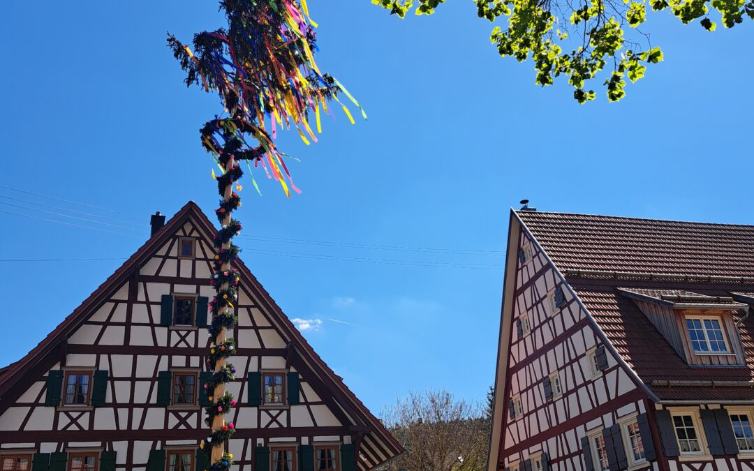 Maibaum in Rotenzimmern aus dem Jahr 2025