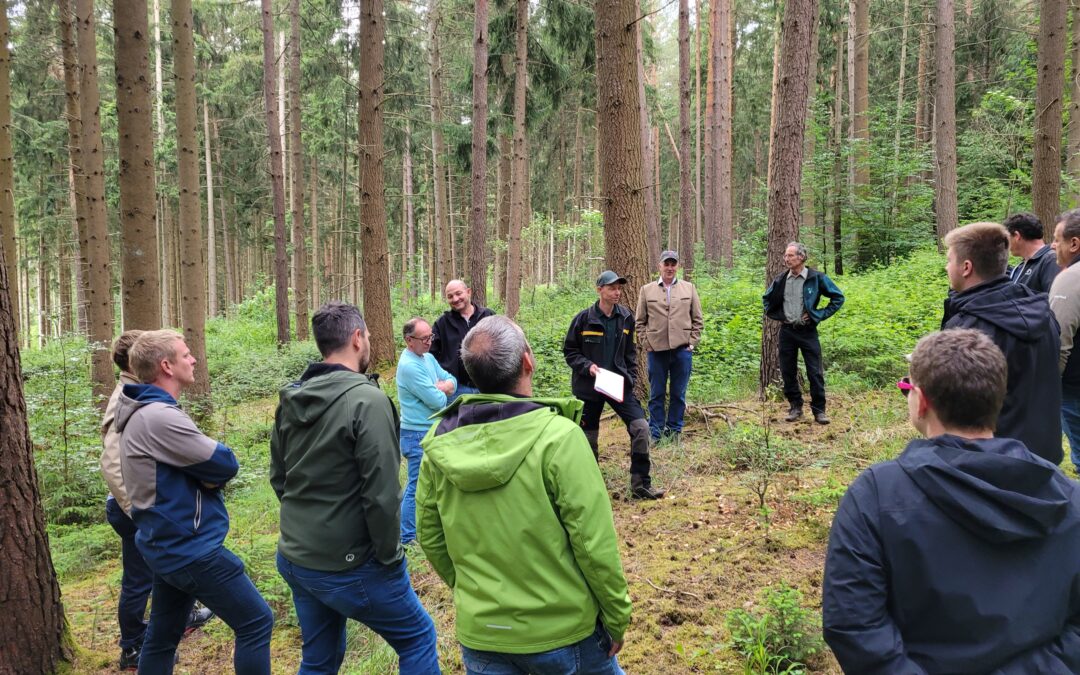 Vor Beginn der Gemeinderatssitzung konnten sich die Mitglieder des Gemeinderats unter fachkundiger Führung ein Bild von Zustand des Walds und der Waldbewirtschaftung machen.