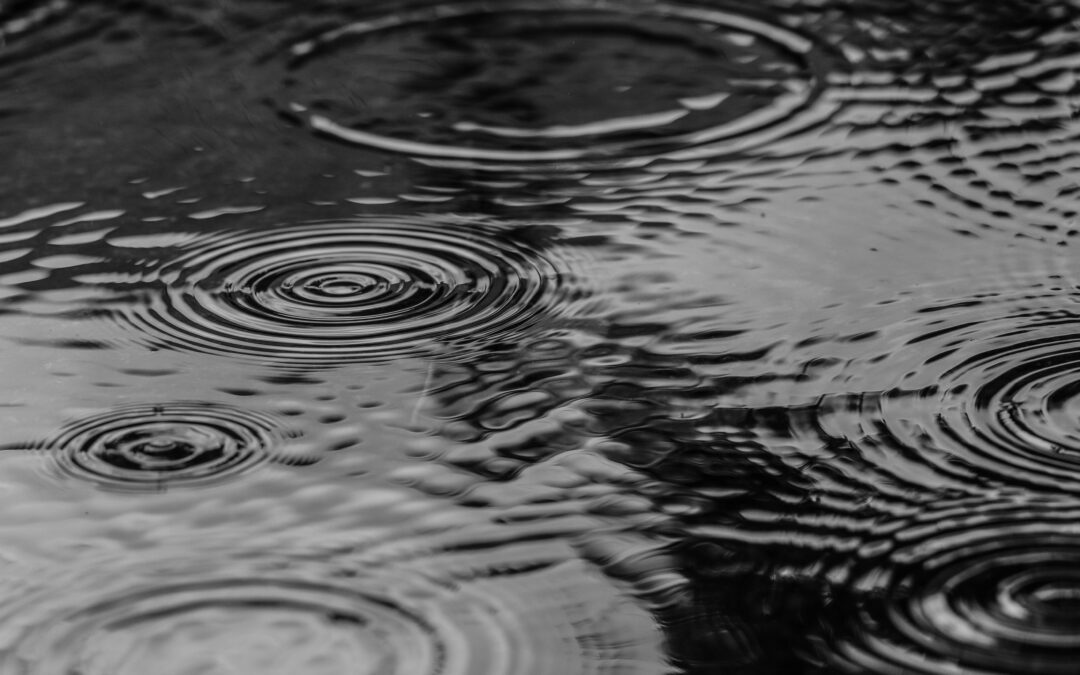 Bild Pixabay
